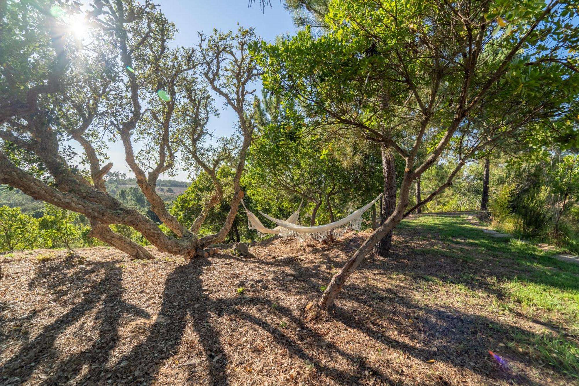אלג'זור Casa Do Monte Verde מראה חיצוני תמונה